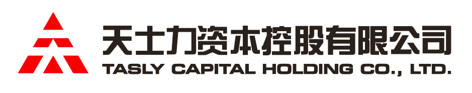 凯发K8资本控股有限公司